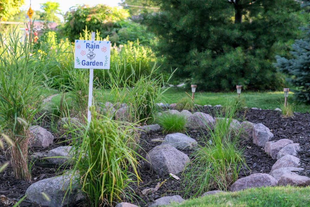 Rain garden made with stones, grasses, and sedges