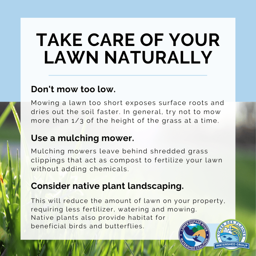 Graphic tips for natural lawn care