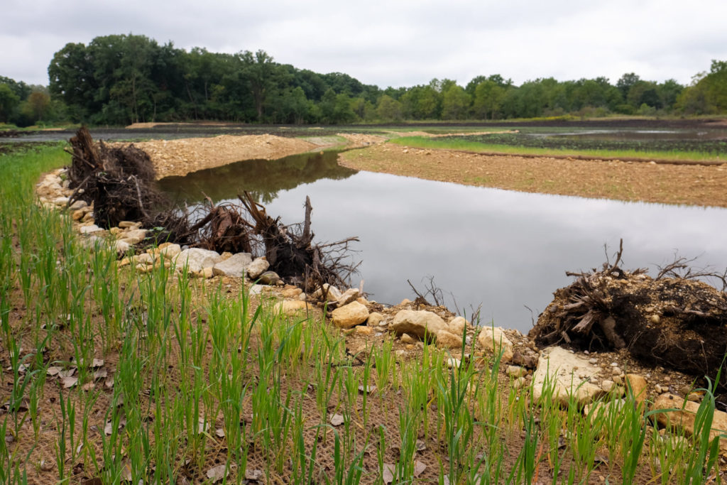 Stream in middle of restoration process