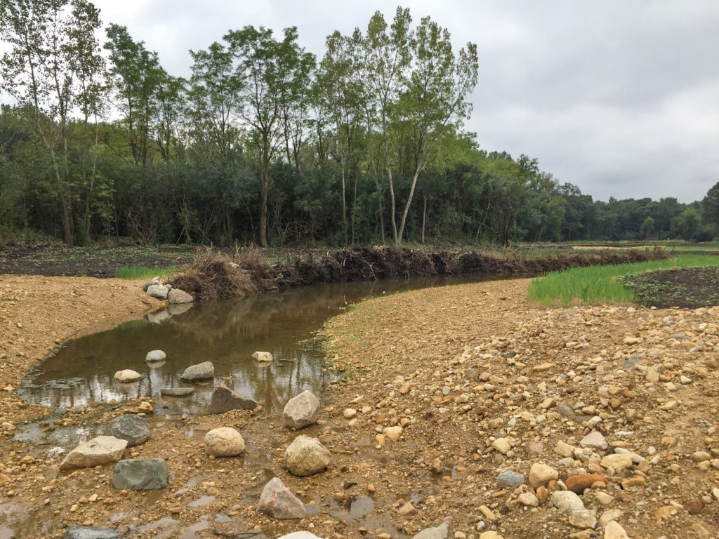 Boulders for riffles in stream restoration project