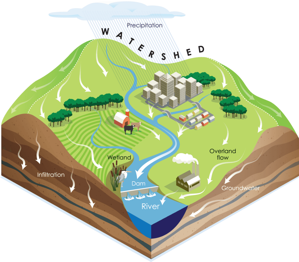 What is a Watershed? - LDP Watersheds