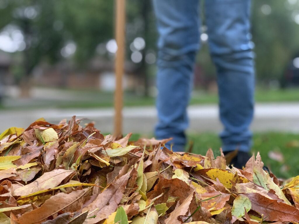 Person stands next to pile of raked leaves